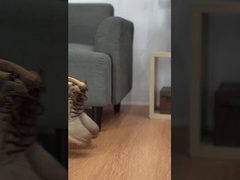 Erkek spor ayakkabıları, kayma karşıtı ve aşınmaya dayanıklı ayakkabılar